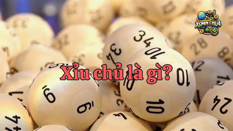 Chiến thuật đánh xỉu chủ - Bí quyết và kinh nghiệm